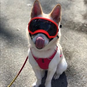 Meet your Posher, Cristian